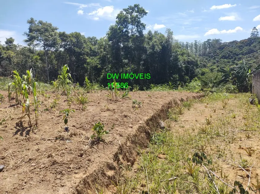 Foto 5 de Sítio / Rancho com 3 quartos à venda, 22000m2 em Centro, Juquitiba - SP