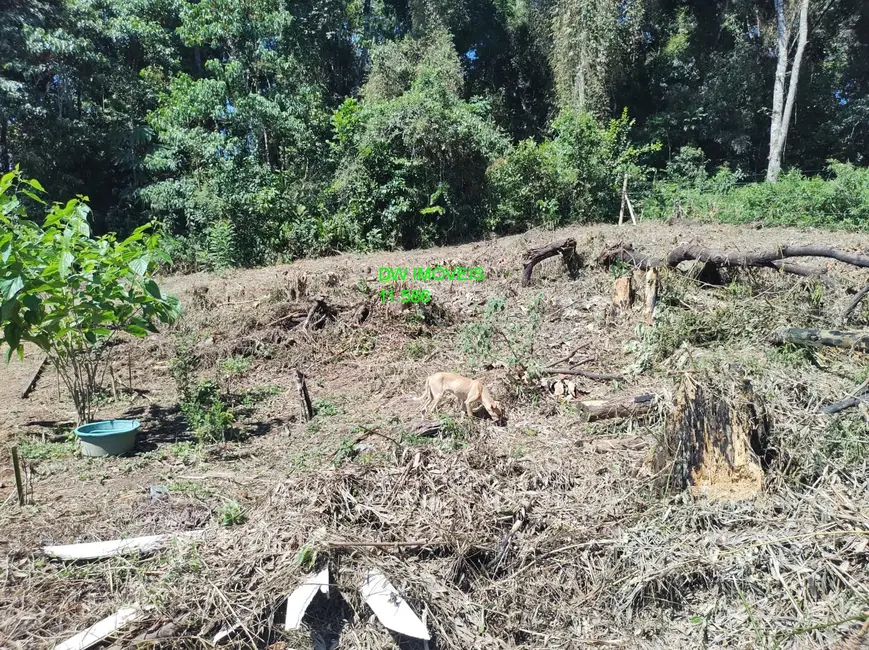 Foto 3 de Casa com 1 quarto à venda em Sao Lourenco Da Serra - SP