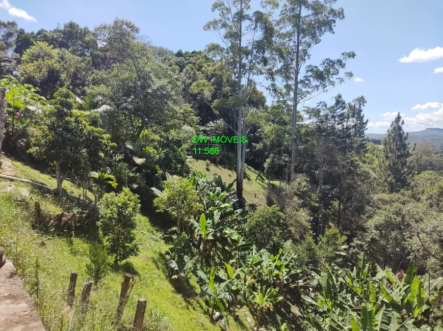 Foto 3 de Chácara com 3 quartos à venda, 5670m2 em Centro, Juquitiba - SP