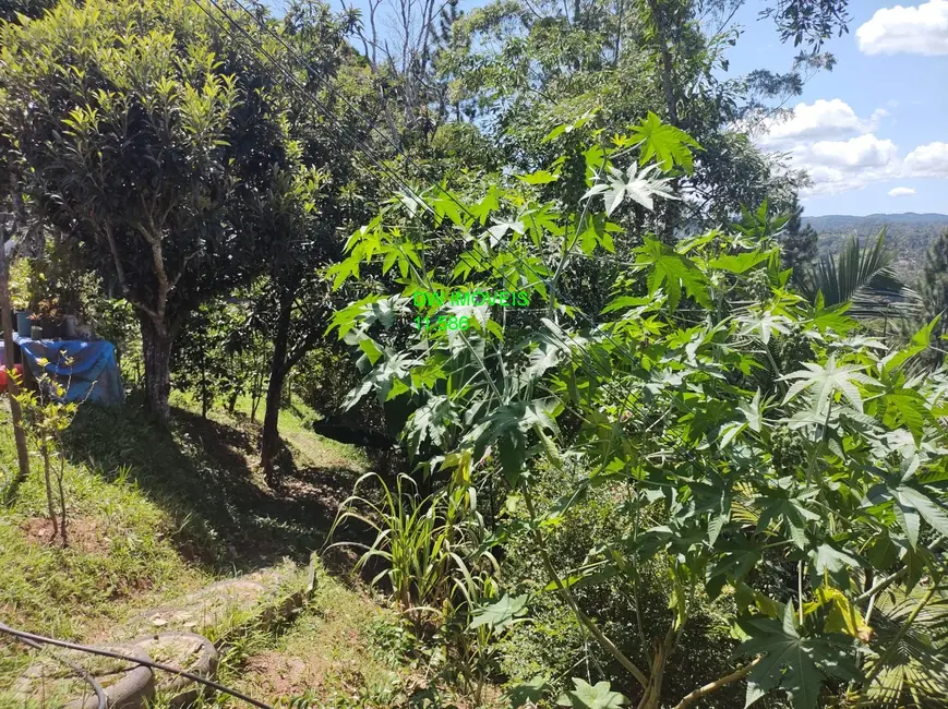 Foto 6 de Chácara com 3 quartos à venda, 5670m2 em Centro, Juquitiba - SP
