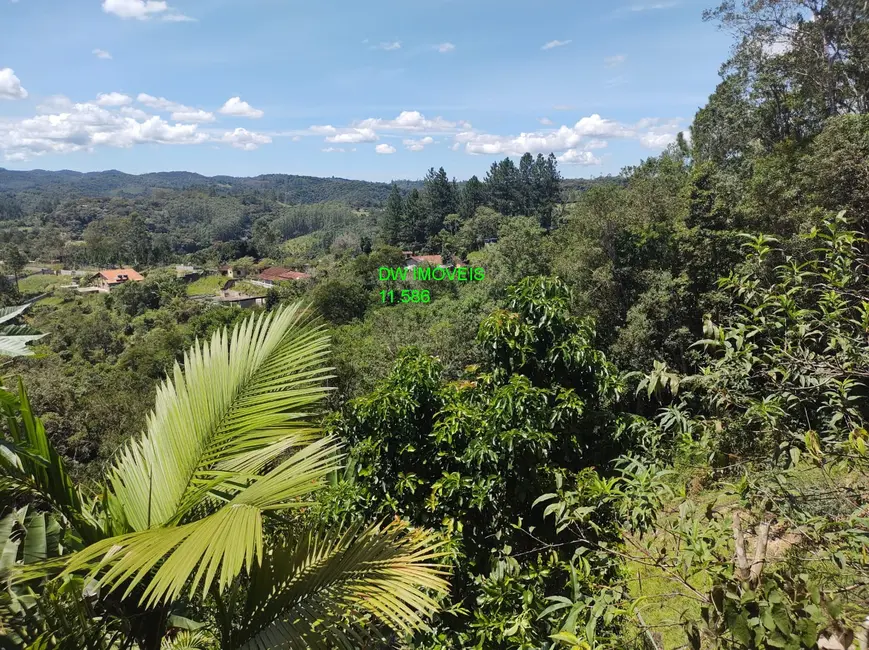 Foto 5 de Chácara com 3 quartos à venda, 5670m2 em Centro, Juquitiba - SP