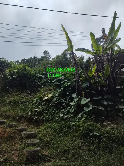Foto 9 de Terreno / Lote à venda, 250m2 em Centro, Juquitiba - SP