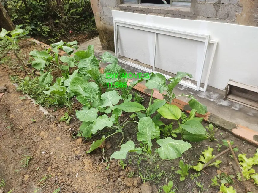 Foto 4 de Chácara com 4 quartos à venda, 8018m2 em Centro, Sao Lourenco Da Serra - SP