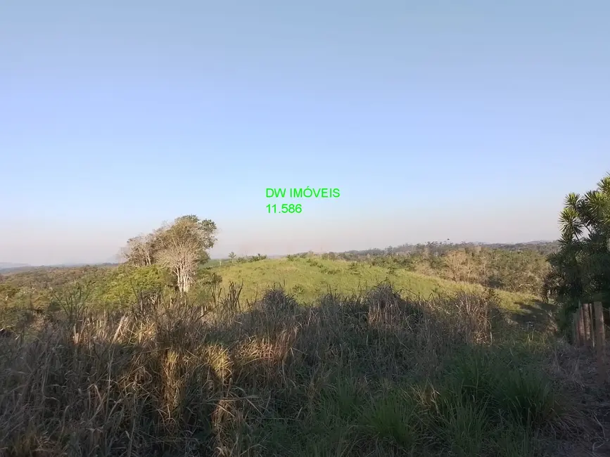 Foto 7 de Sítio / Rancho com 5 quartos à venda, 400m2 em Juquia - SP