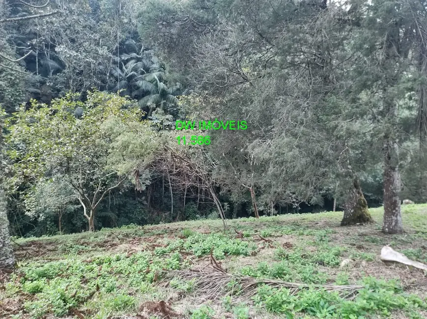 Foto 7 de Terreno / Lote à venda, 21000m2 em Juquitiba - SP