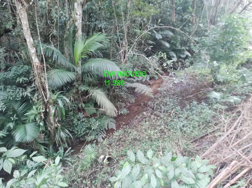 Foto 9 de Terreno / Lote à venda, 21000m2 em Juquitiba - SP