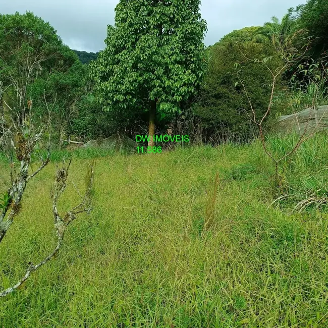 Foto 6 de Sítio / Rancho com 3 quartos à venda, 250m2 em Juquitiba - SP