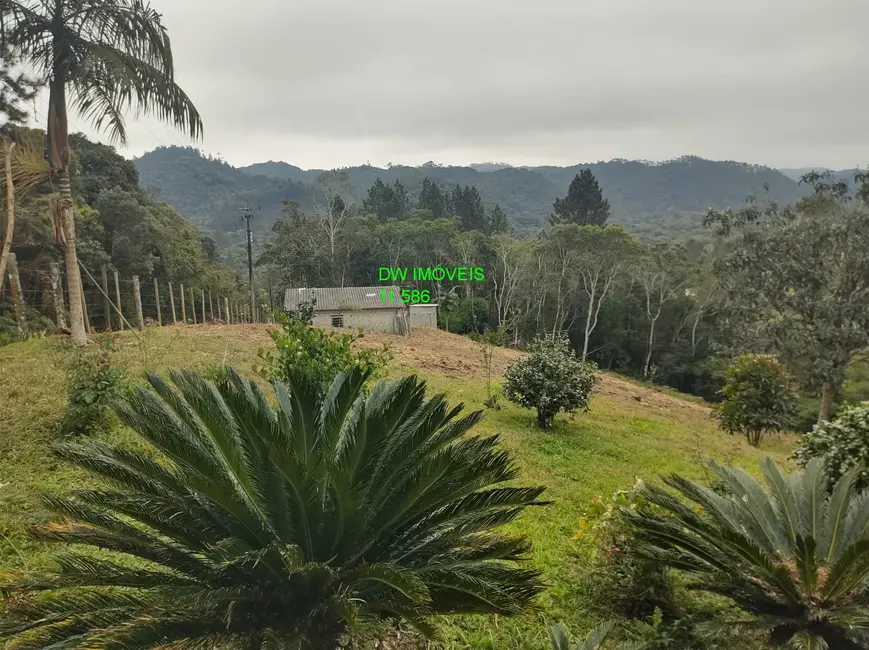 Foto 8 de Chácara com 3 quartos à venda, 200m2 em Miracatu - SP