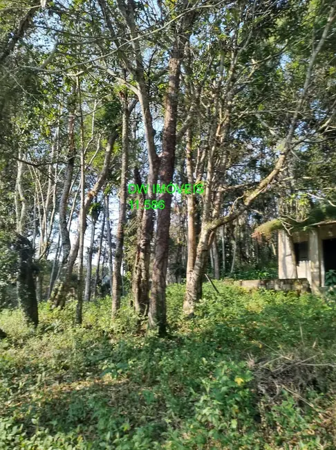 Chácara com 2 quartos à venda, 90m2 em Miracatu - SP - imagem 5 Foto 5 de Chácara com 2 quartos à venda, 90m2 em Miracatu - SP