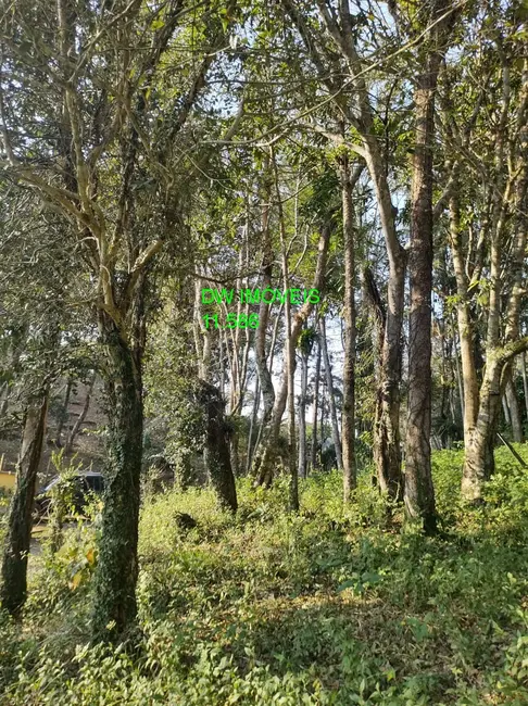 Chácara com 2 quartos à venda, 90m2 em Miracatu - SP - imagem 4 Foto 4 de Chácara com 2 quartos à venda, 90m2 em Miracatu - SP