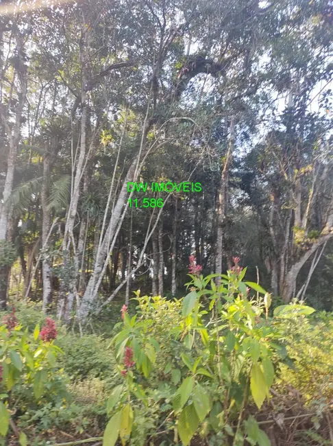 Chácara com 2 quartos à venda, 90m2 em Miracatu - SP - imagem 8 Foto 8 de Chácara com 2 quartos à venda, 90m2 em Miracatu - SP