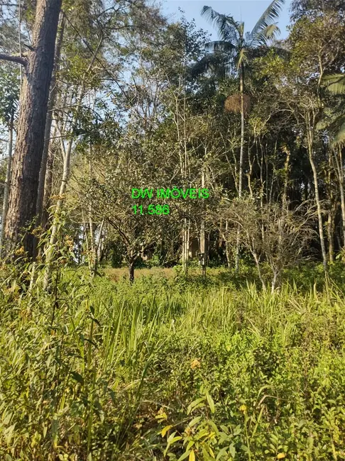 Chácara com 2 quartos à venda, 90m2 em Miracatu - SP - imagem 9 Foto 9 de Chácara com 2 quartos à venda, 90m2 em Miracatu - SP