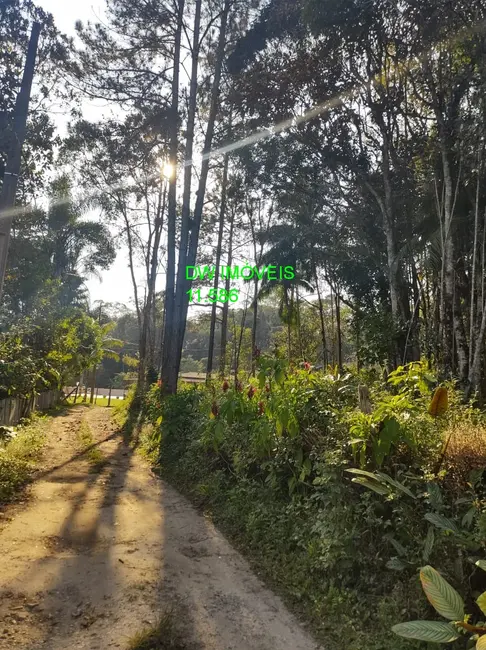 Chácara com 2 quartos à venda, 90m2 em Miracatu - SP - imagem 7 Foto 7 de Chácara com 2 quartos à venda, 90m2 em Miracatu - SP