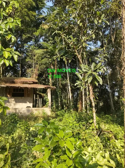 Chácara com 2 quartos à venda, 90m2 em Miracatu - SP - imagem 6 Foto 6 de Chácara com 2 quartos à venda, 90m2 em Miracatu - SP