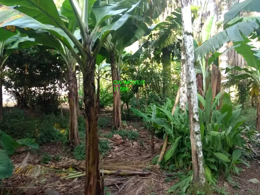 Foto 3 de Chácara com 2 quartos à venda, 100m2 em Miracatu - SP