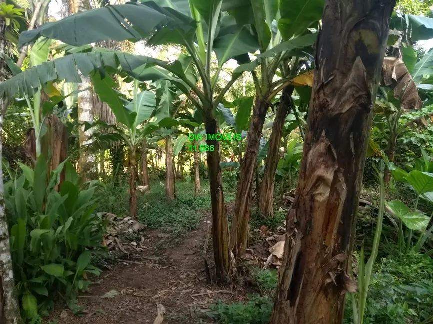 Foto 2 de Chácara com 2 quartos à venda, 100m2 em Miracatu - SP