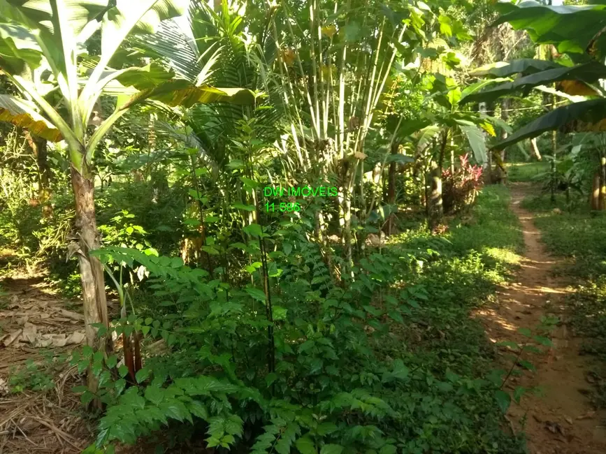 Foto 6 de Chácara com 2 quartos à venda, 100m2 em Miracatu - SP