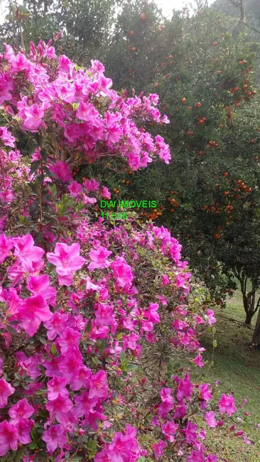 Foto 5 de Sítio / Rancho com 2 quartos à venda, 120m2 em Juquitiba - SP