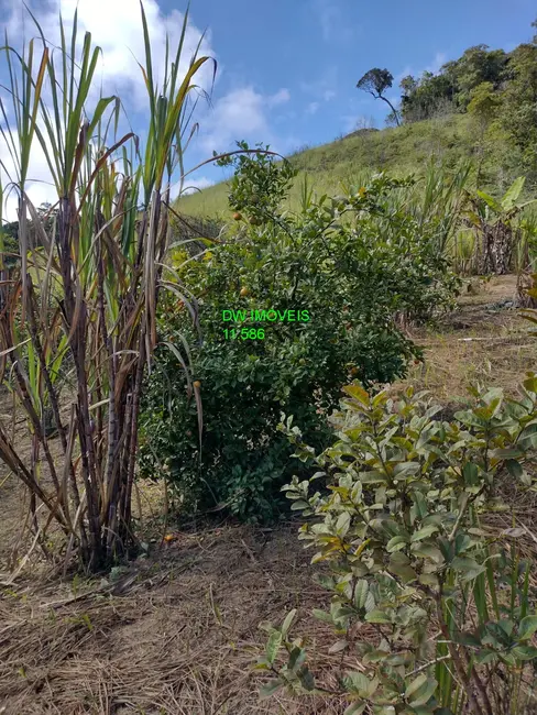 Foto 4 de Sítio / Rancho com 1 quarto à venda, 120m2 em Miracatu - SP