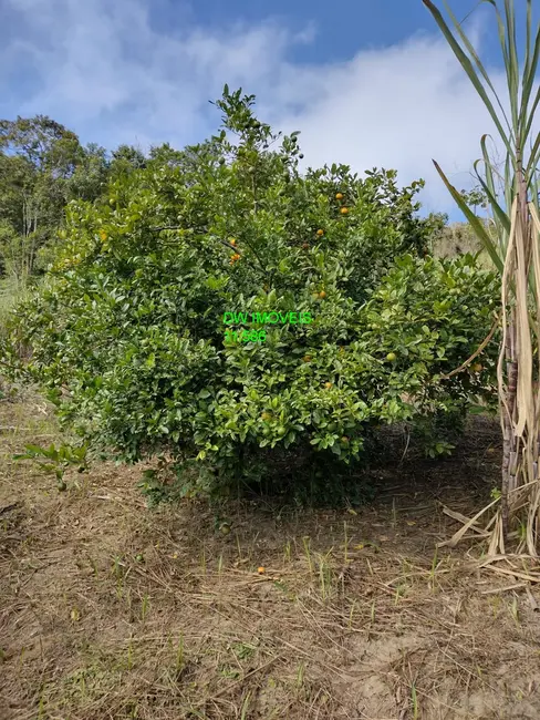 Foto 3 de Sítio / Rancho com 1 quarto à venda, 120m2 em Miracatu - SP