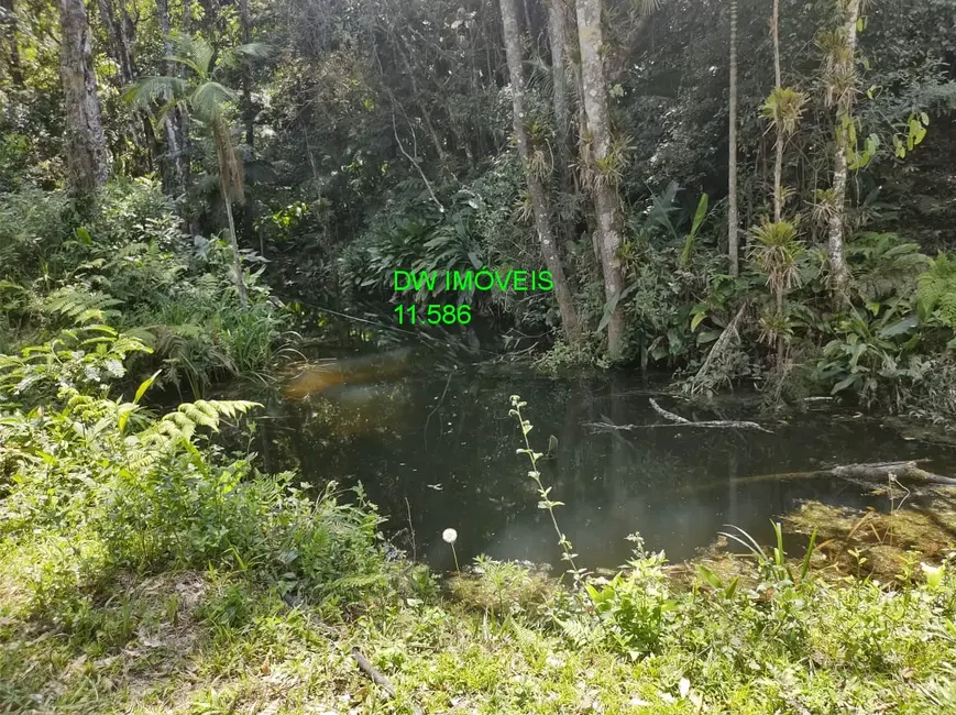 Foto 9 de Chácara com 1 quarto à venda, 90m2 em Sao Lourenco Da Serra - SP