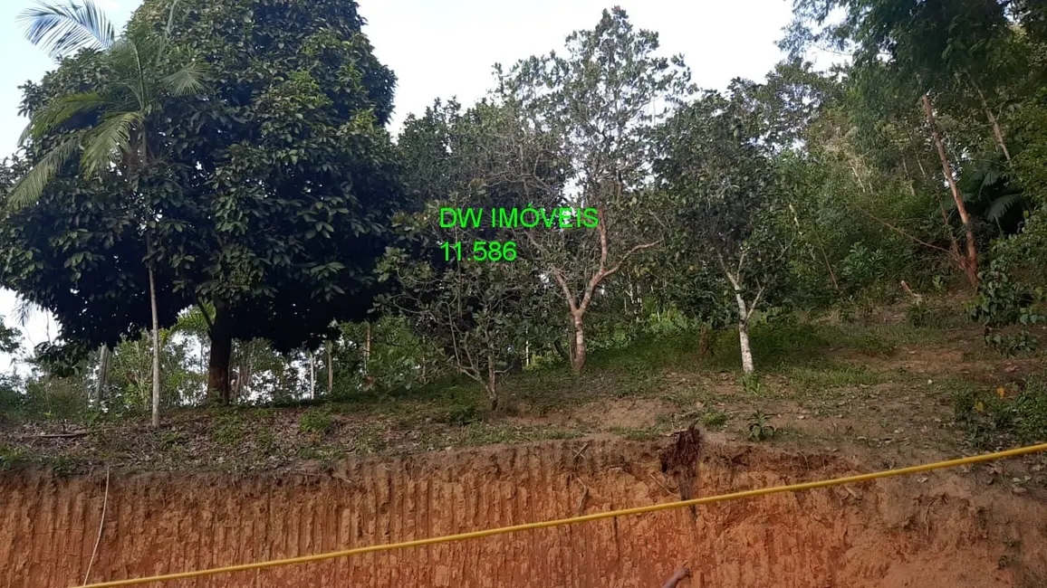 Foto 7 de Chácara com 2 quartos à venda, 100m2 em Miracatu - SP