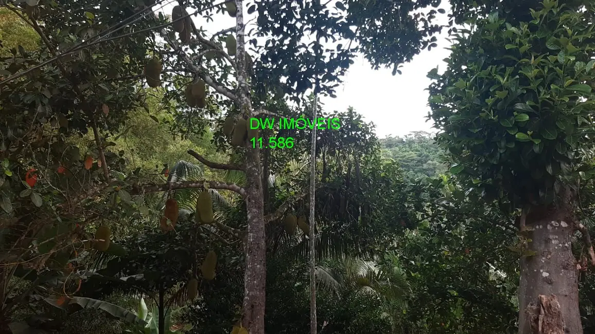 Foto 6 de Chácara com 2 quartos à venda, 100m2 em Miracatu - SP