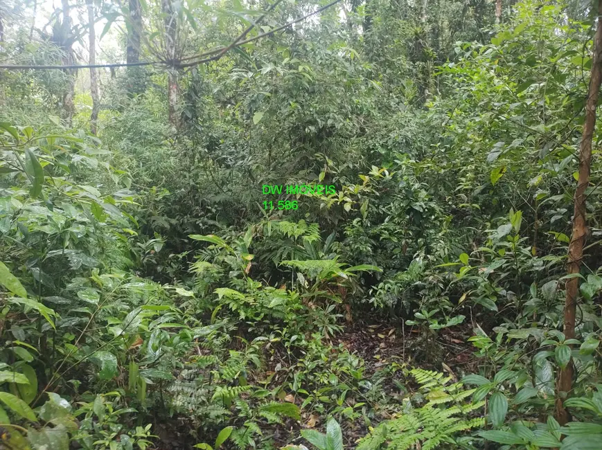 Foto 4 de Terreno / Lote à venda, 17000m2 em Juquitiba - SP