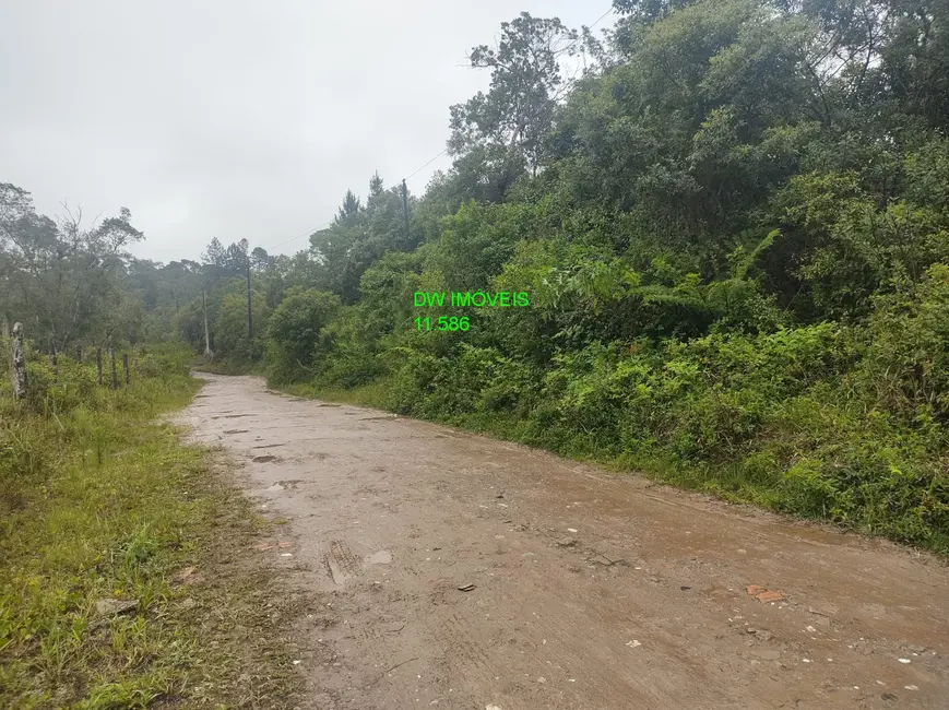 Foto 6 de Terreno / Lote à venda, 17000m2 em Juquitiba - SP