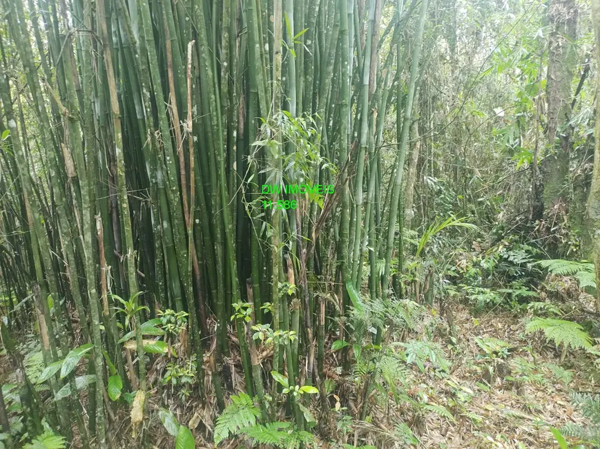 Foto 3 de Terreno / Lote à venda, 17000m2 em Juquitiba - SP