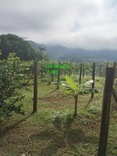 Foto 9 de Sítio / Rancho com 3 quartos à venda, 200m2 em Miracatu - SP