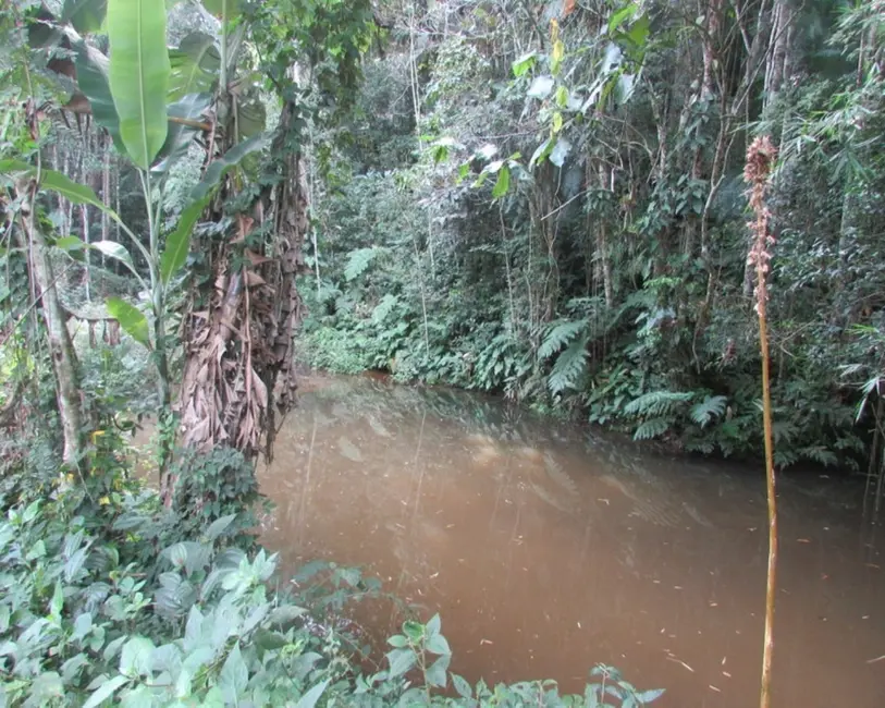 Foto 4 de Terreno / Lote à venda, 2310m2 em Juquitiba - SP