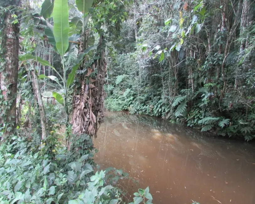 Foto 6 de Terreno / Lote à venda, 2310m2 em Juquitiba - SP