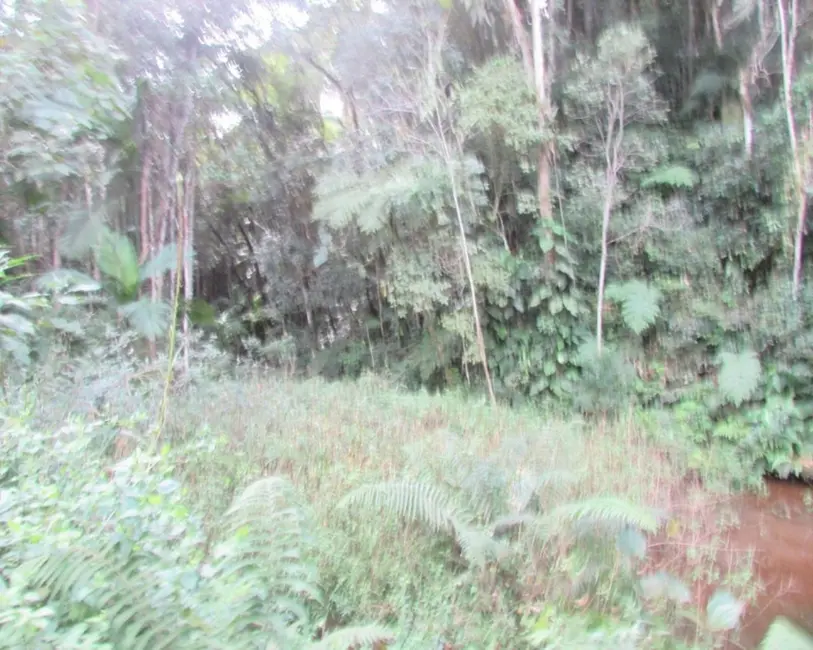 Foto 3 de Terreno / Lote à venda, 2310m2 em Juquitiba - SP