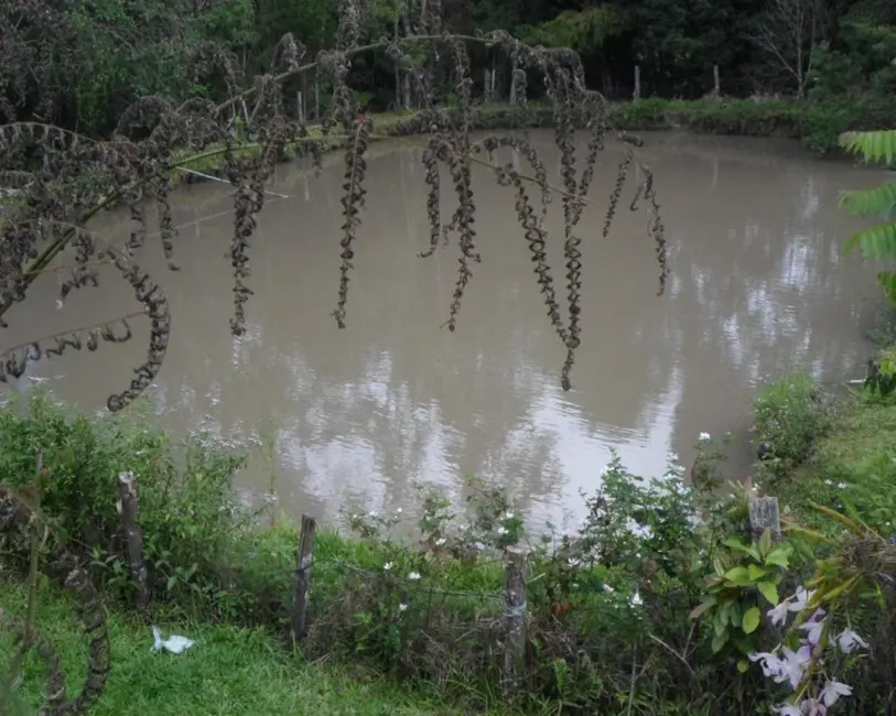 Foto 9 de Chácara com 5 quartos para alugar em Juquitiba - SP