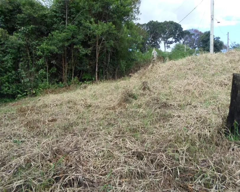 Foto 6 de Terreno / Lote à venda, 310m2 em Centro, Juquitiba - SP