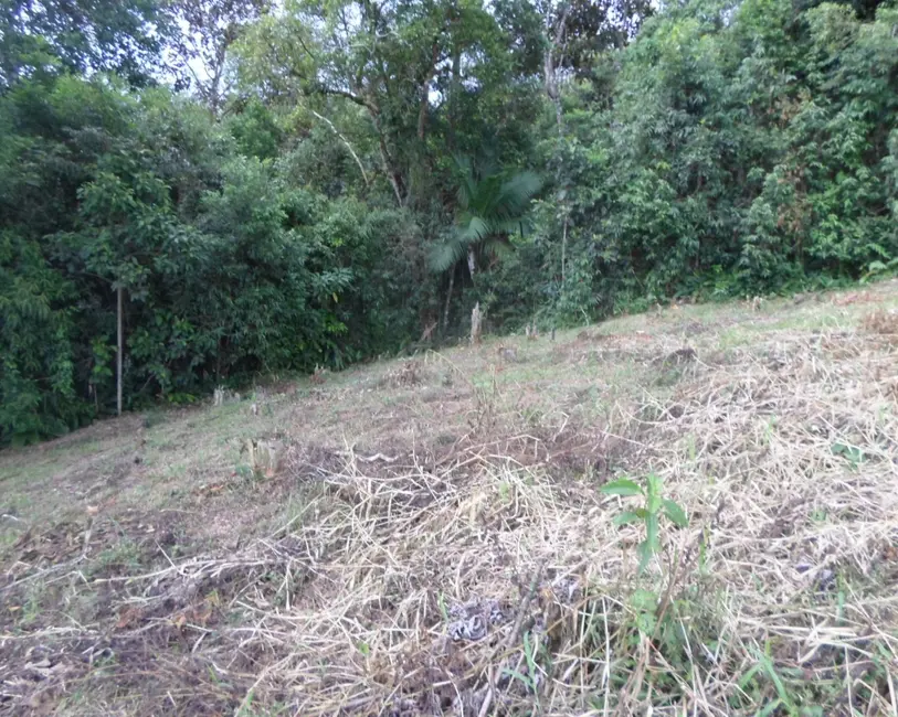 Foto 7 de Terreno / Lote à venda, 310m2 em Centro, Juquitiba - SP