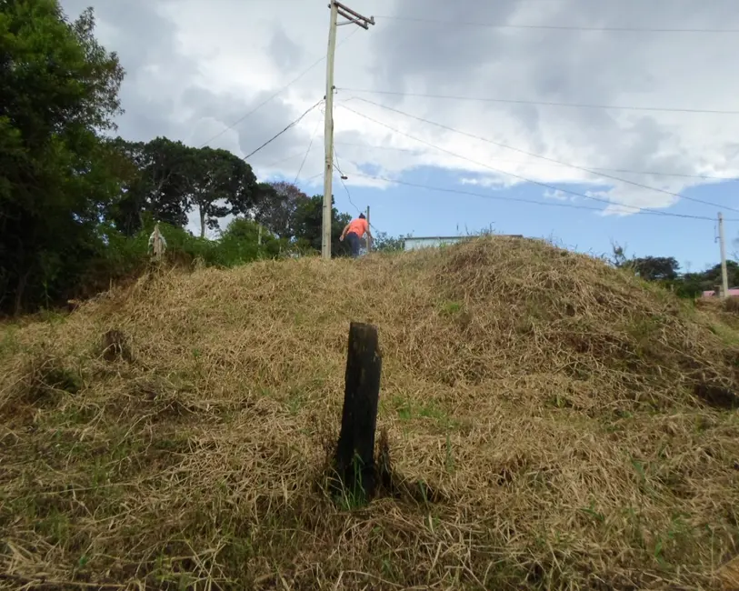 Foto 5 de Terreno / Lote à venda, 310m2 em Centro, Juquitiba - SP