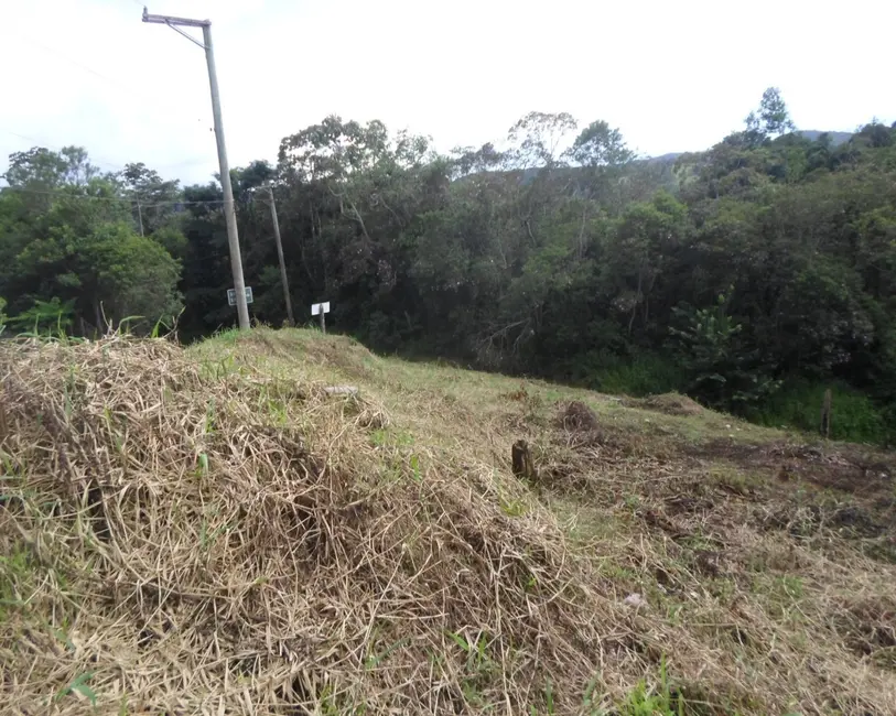 Foto 3 de Terreno / Lote à venda, 310m2 em Centro, Juquitiba - SP