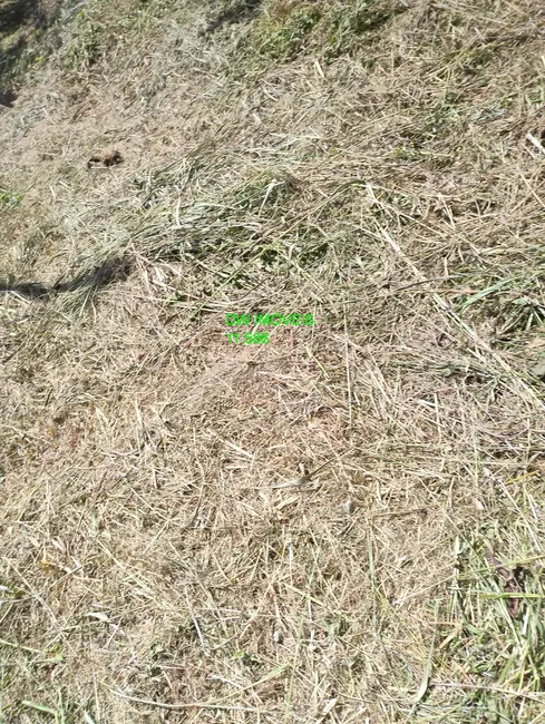 Foto 4 de Chácara com 2 quartos à venda, 150m2 em Juquitiba - SP