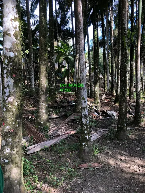 Foto 3 de Terreno / Lote à venda, 10000m2 em Miracatu - SP