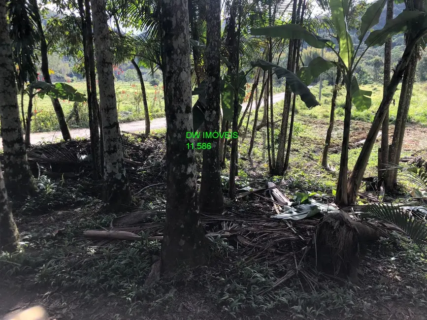 Foto 4 de Terreno / Lote à venda, 10000m2 em Miracatu - SP