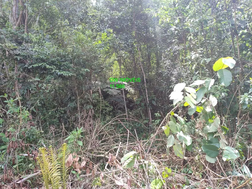 Foto 6 de Terreno / Lote à venda, 4000m2 em Juquitiba - SP