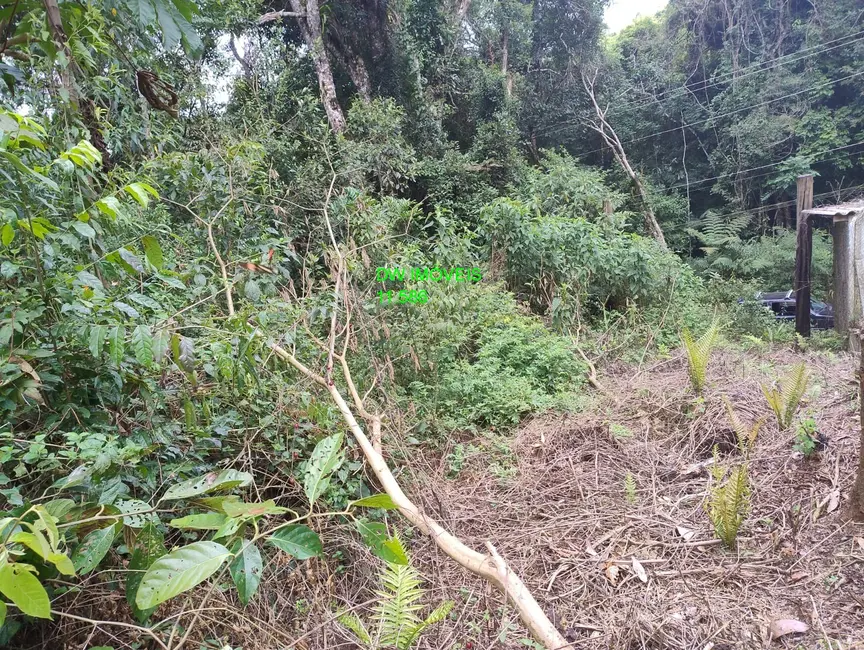 Foto 8 de Terreno / Lote à venda, 4000m2 em Juquitiba - SP