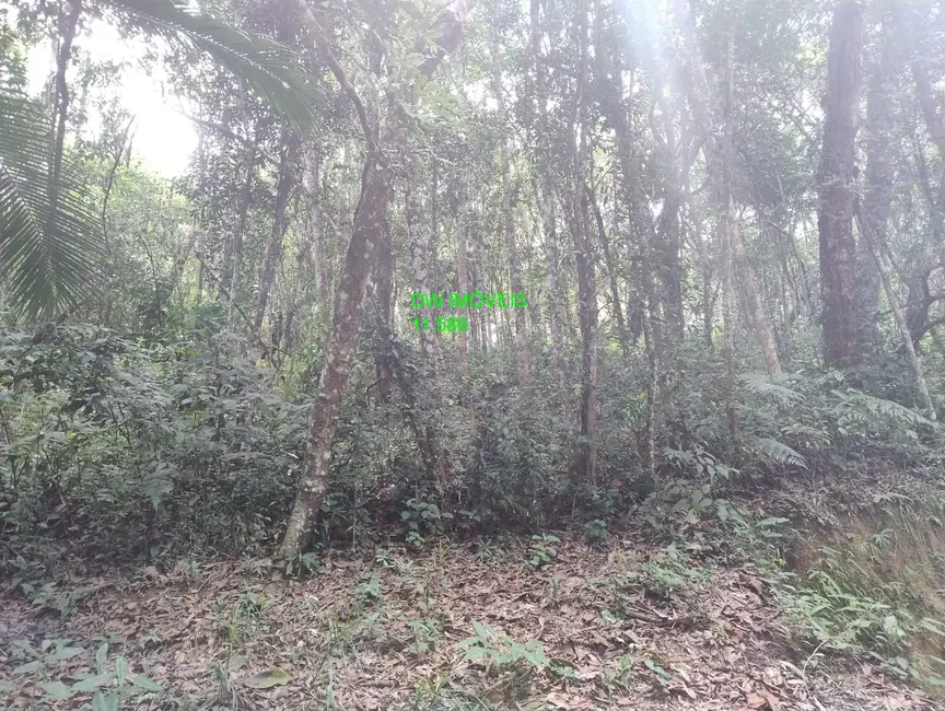 Foto 2 de Terreno / Lote à venda, 4000m2 em Juquitiba - SP