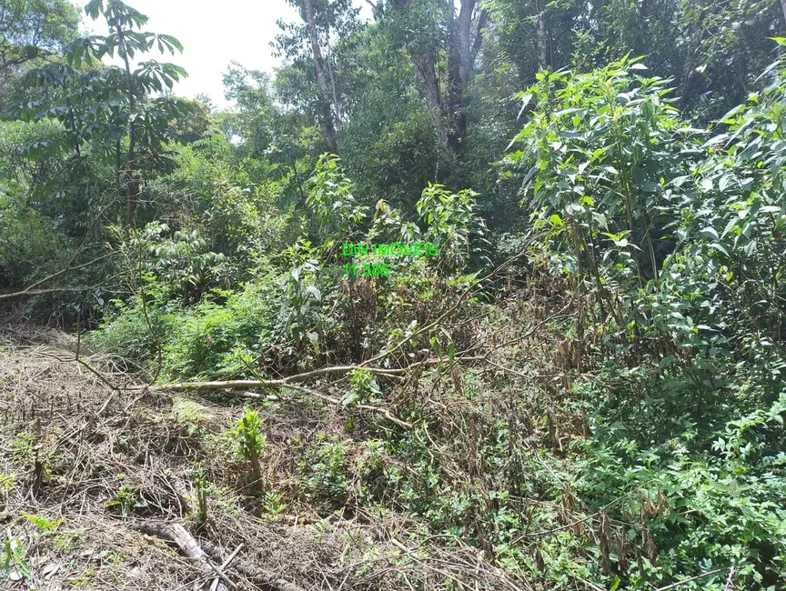 Foto 5 de Terreno / Lote à venda, 4000m2 em Juquitiba - SP