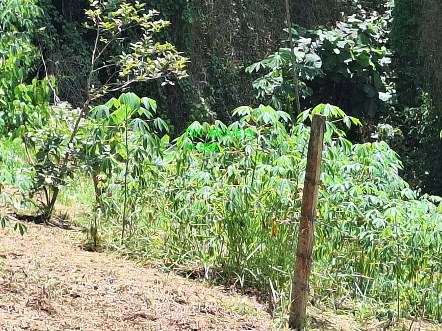 Foto 7 de Chácara com 1 quarto à venda, 150m2 em Pedro De Toledo - SP