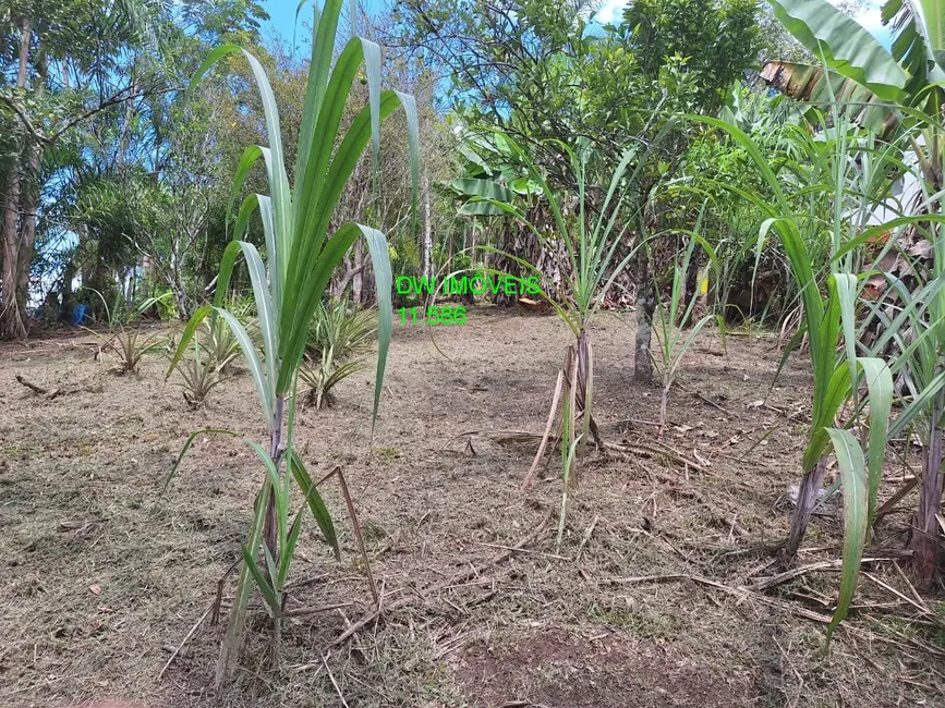 Foto 6 de Chácara com 1 quarto à venda, 150m2 em Pedro De Toledo - SP