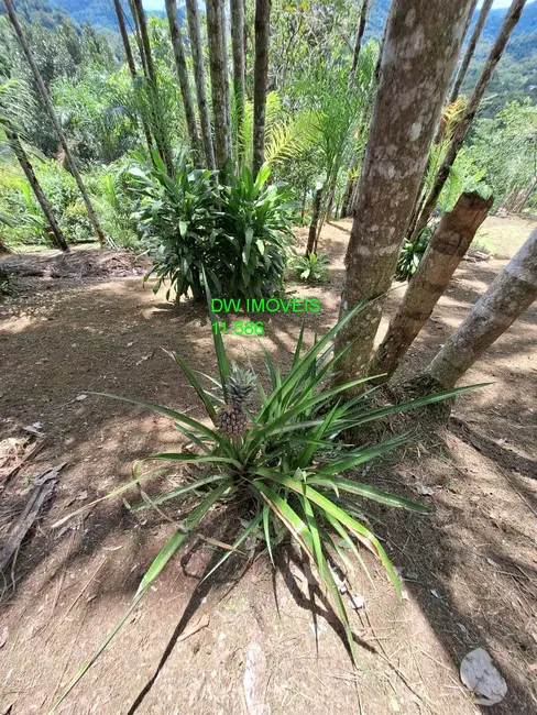 Foto 9 de Chácara com 1 quarto à venda, 150m2 em Pedro De Toledo - SP