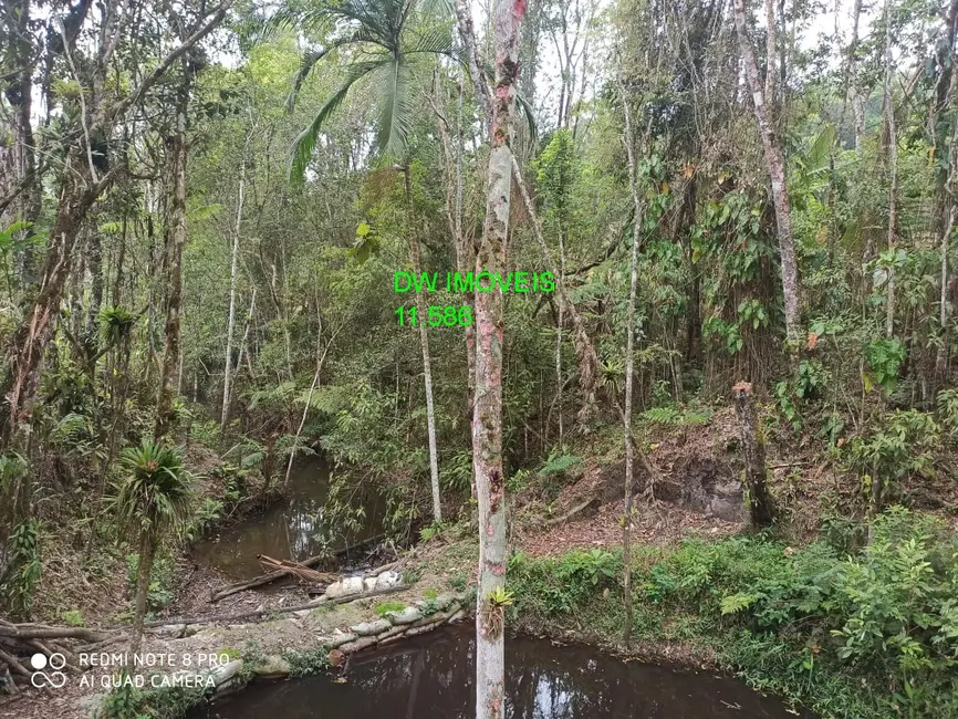 Foto 6 de Chácara com 1 quarto à venda, 100m2 em Barnabés, Juquitiba - SP